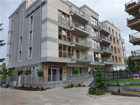 Polonya Geyiği